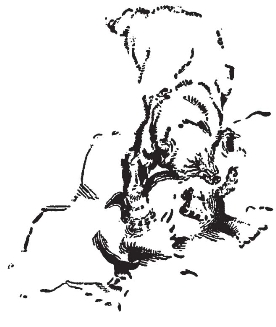 pagenumber_ebook=297,pagenumber_book=289