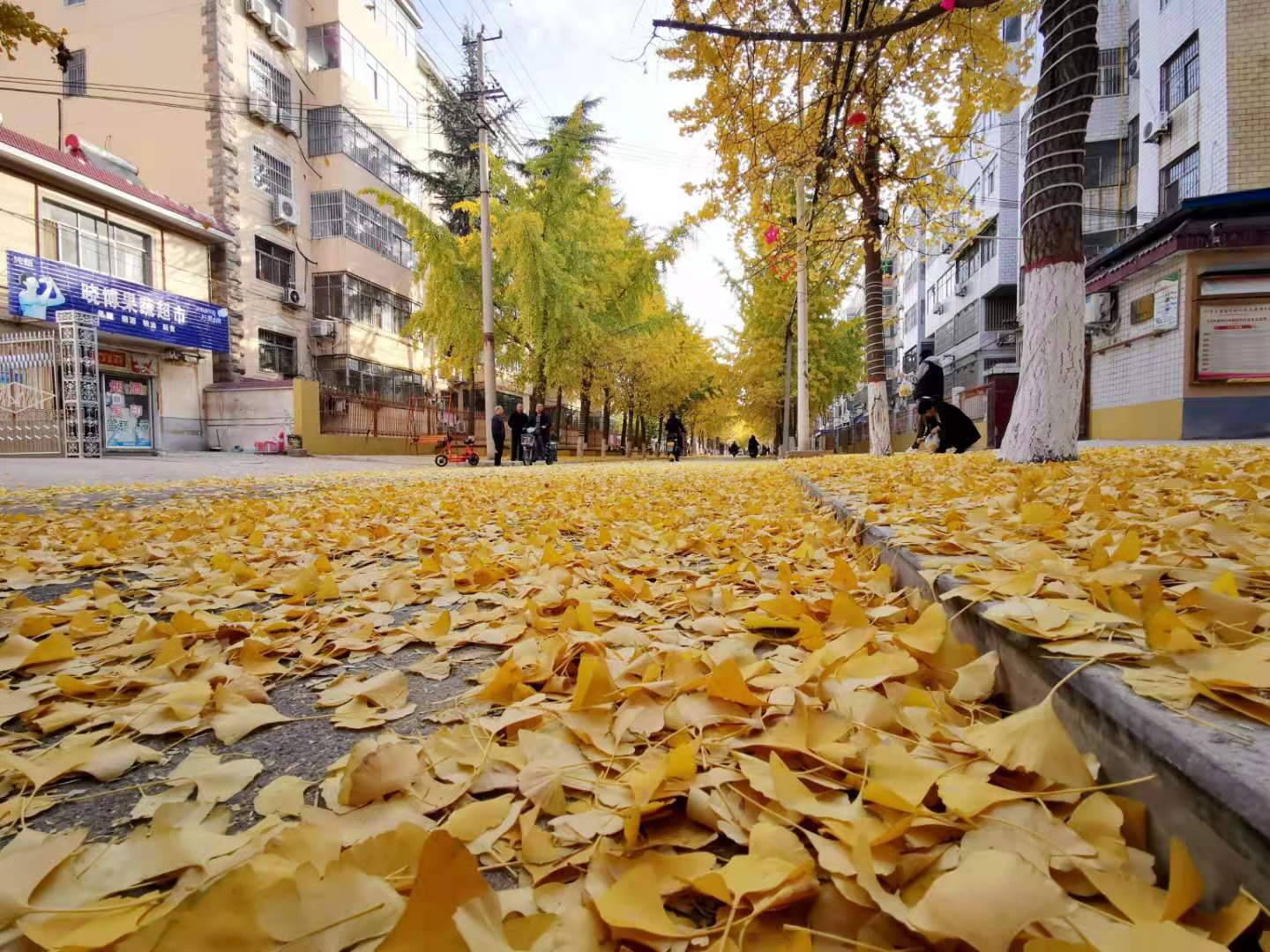 f860840663b6dac3ee2c92ab5d39e07 f860840663b6dac3ee2c92ab5d39e07.jpg