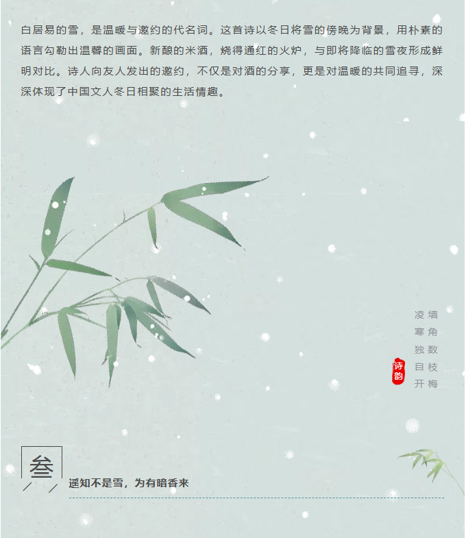 image.png?v=1766278431556