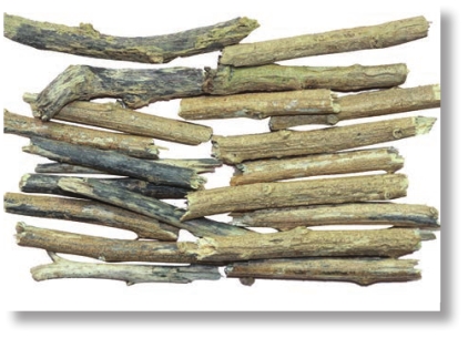 pagenumber_ebook=158,pagenumber_book=145