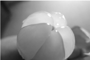 pagenumber_ebook=65,pagenumber_book=65