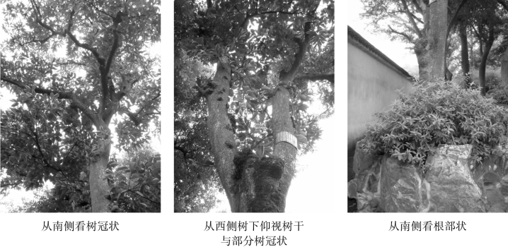 pagenumber_ebook=104,pagenumber_book=104