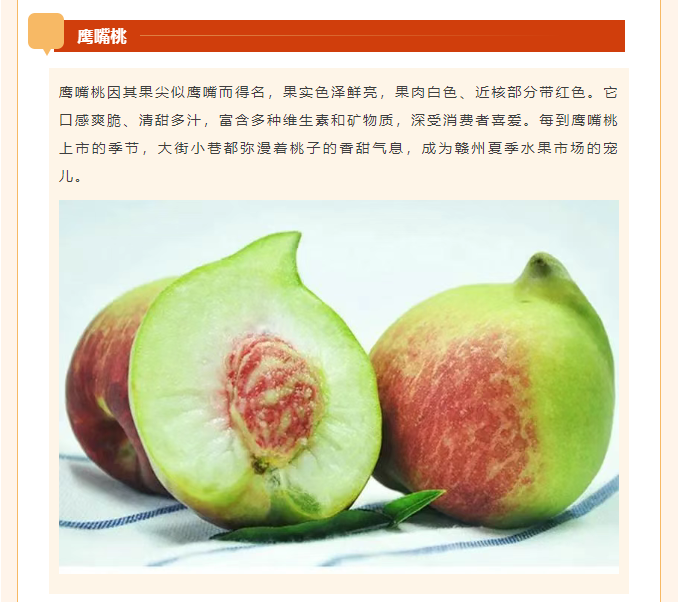 image.png?v=1751557756919