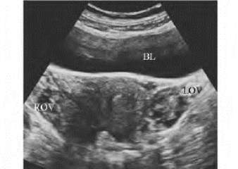 pagenumber_ebook=680,pagenumber_book=680