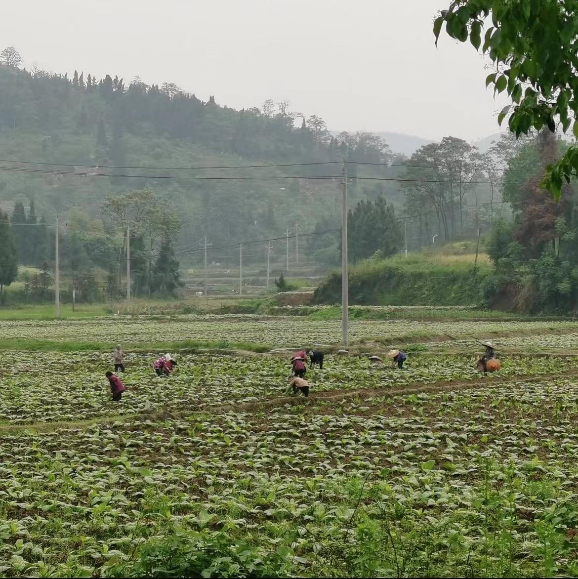 wps_doc_4 wps_doc_4.jpeg