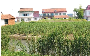 pagenumber_ebook=42,pagenumber_book=27