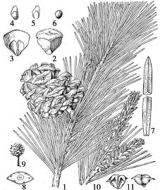 pagenumber_ebook=74,pagenumber_book=74