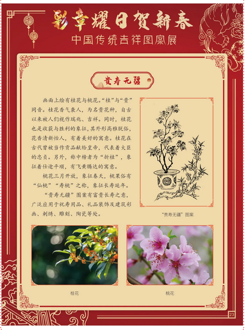 图片 图片.png?v=1761638458313