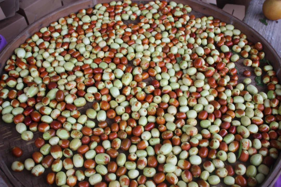 微信图片_20200917001417