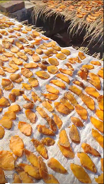 97644f4b75ebb78e07b8dfe2ecfeaf1