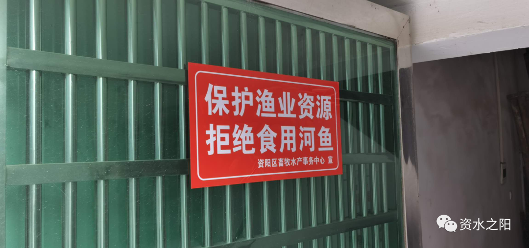 2 2.png?v=1765946531306