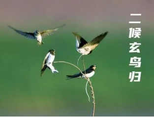 image image.png?v=1770174984872