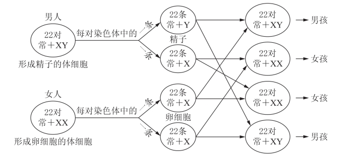 pagenumber_ebook=11,pagenumber_book=3