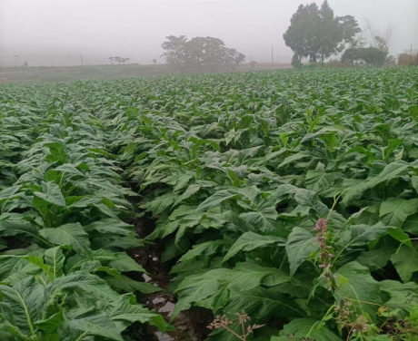 图片 19 图片 19.png