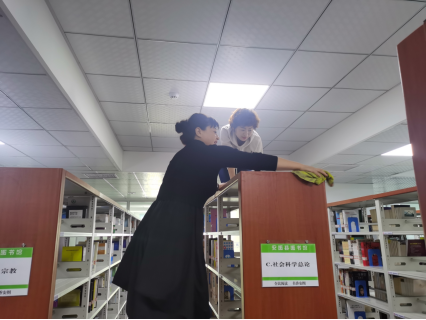 image image.png?v=1781936719260