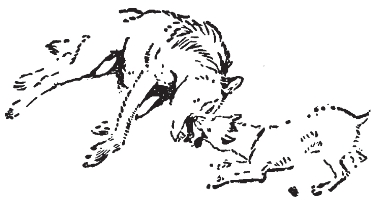 pagenumber_ebook=255,pagenumber_book=247