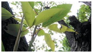 pagenumber_ebook=24,pagenumber_book=16