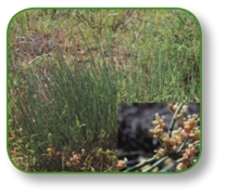 pagenumber_ebook=292,pagenumber_book=279