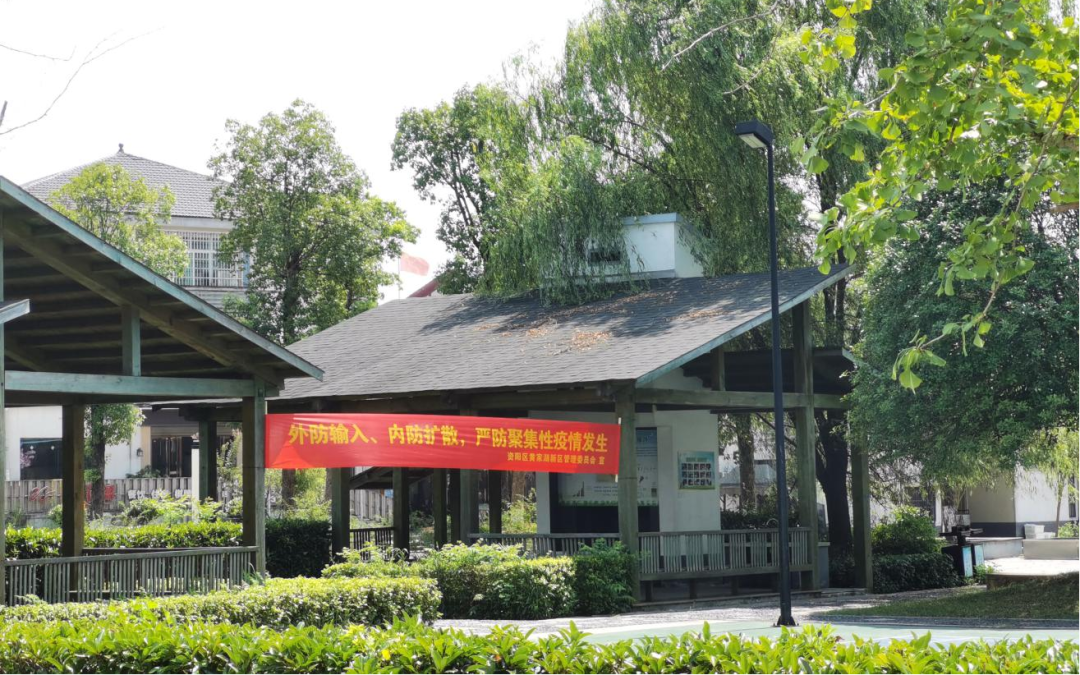 5 5.png?v=1765966789931