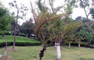 pagenumber_ebook=30,pagenumber_book=22