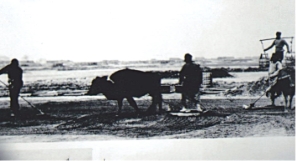 pagenumber_ebook=80,pagenumber_book=65