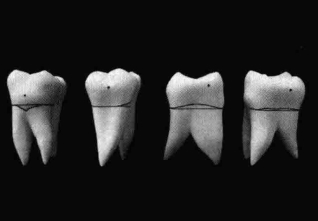 pagenumber_ebook=211,pagenumber_book=202