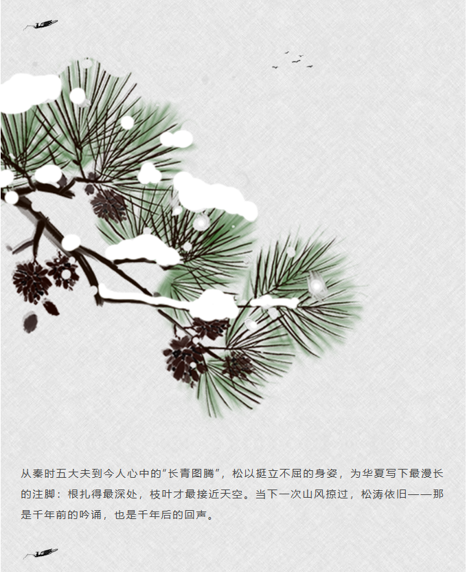 image.png?v=1762099906174