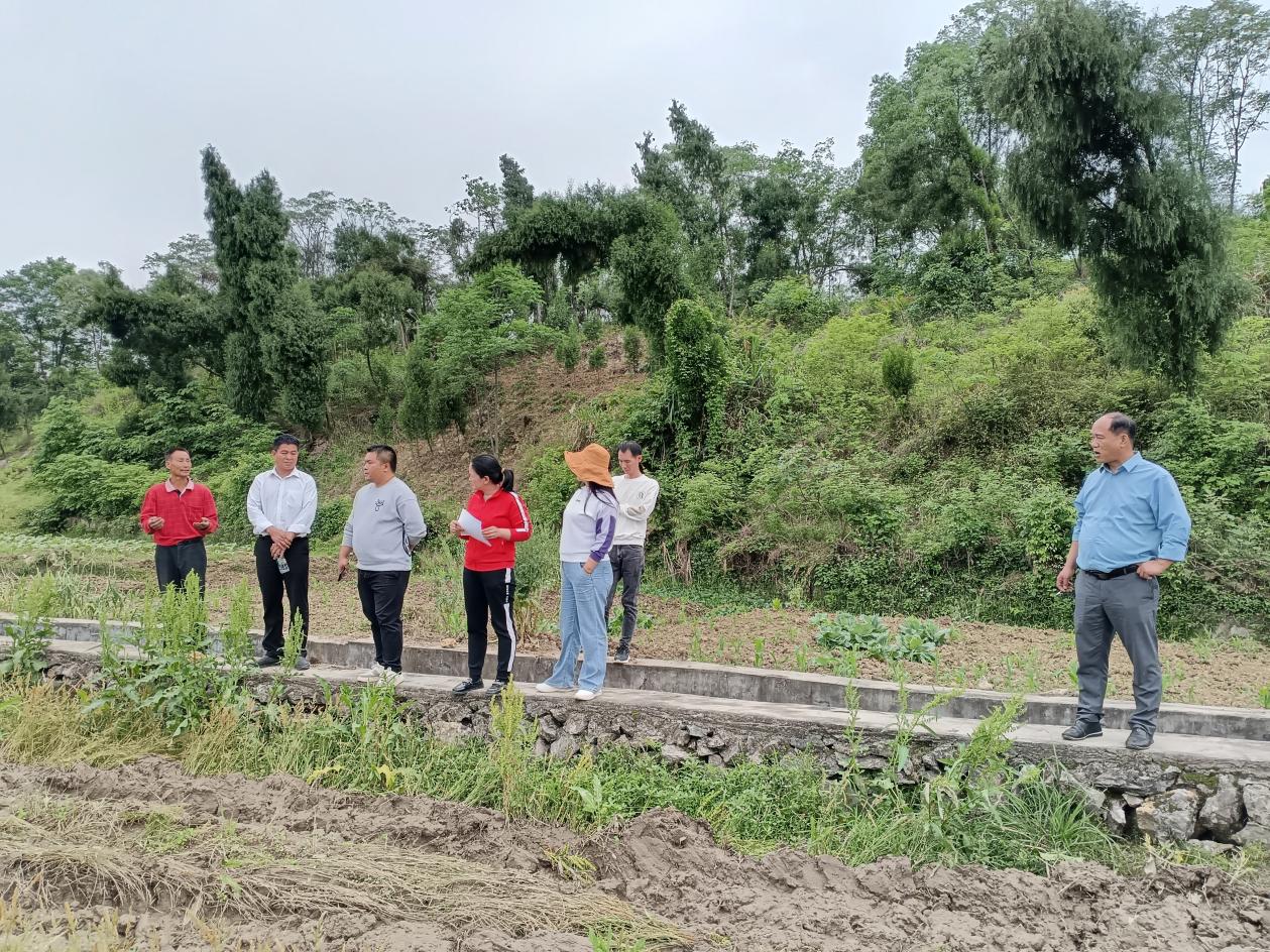 图片33 图片33.jpg