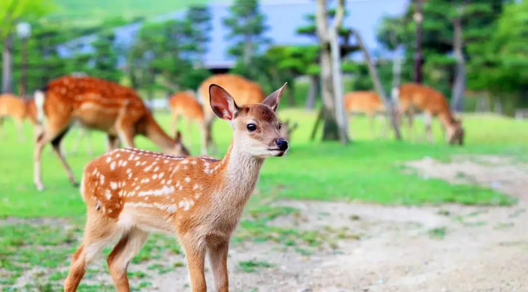 微信图片_20200613090801 微信图片_20200613090801