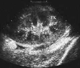 pagenumber_ebook=622,pagenumber_book=622