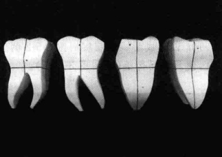pagenumber_ebook=215,pagenumber_book=206