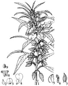 pagenumber_ebook=199,pagenumber_book=199