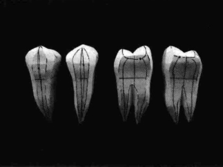 pagenumber_ebook=204,pagenumber_book=195