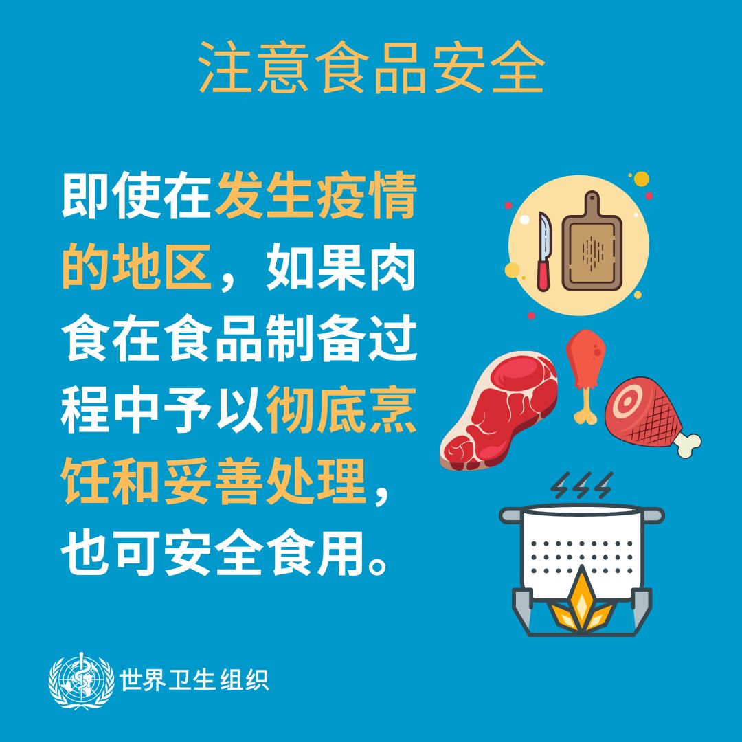 14 14.jpg?v=1765880163451