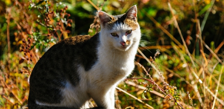 pagenumber_ebook=26,pagenumber_book=14