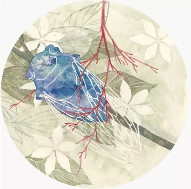 20171213172907_w0xefaraa9 20171213172907_w0xefaraa9.png?v=1773792189926