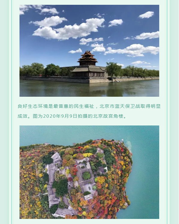 image.png?v=1754275592647