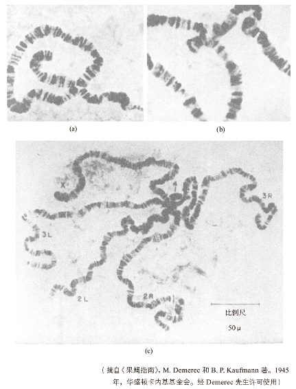 pagenumber_ebook=331,pagenumber_book=327