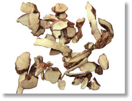 pagenumber_ebook=249,pagenumber_book=236