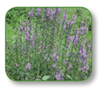 pagenumber_ebook=280,pagenumber_book=267