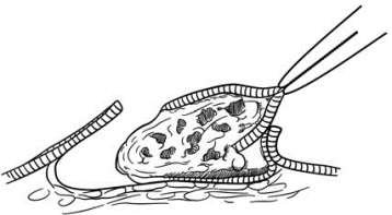 pagenumber_ebook=606,pagenumber_book=591