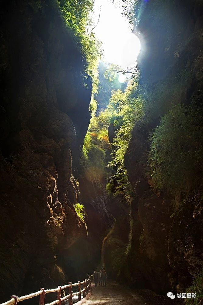 10 10.jpg?v=1765879816335