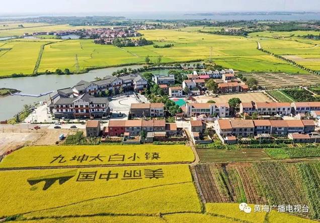 clip_image017 微信图片_20190924165253