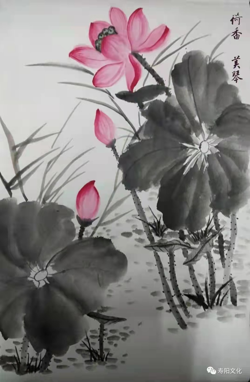 428384e632a09c007930f3a9639ac3b 428384e632a09c007930f3a9639ac3b.jpg