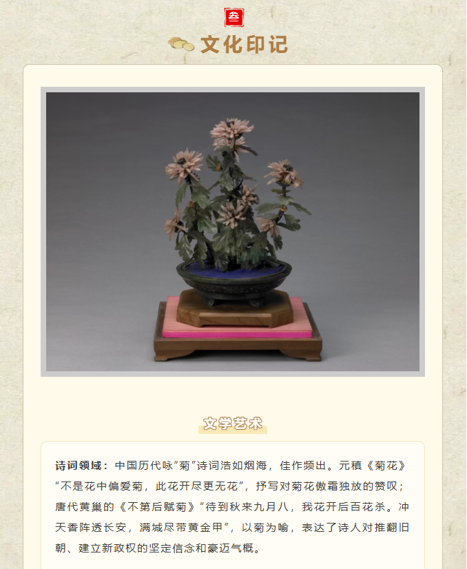 image.png?v=1762100057603