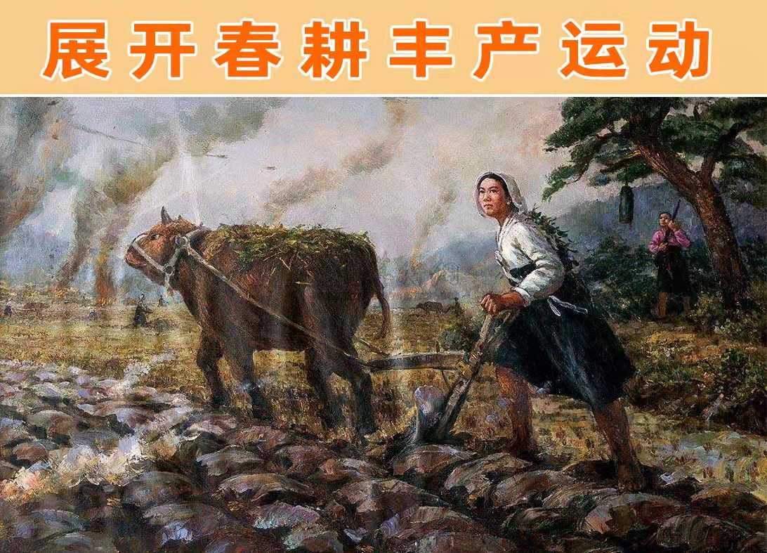 封皮