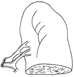 pagenumber_ebook=512,pagenumber_book=497