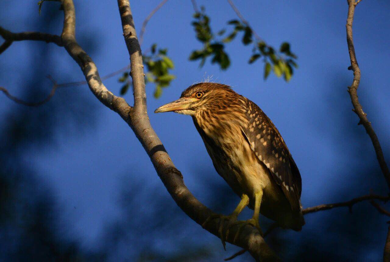 微信图片_2020060516411211