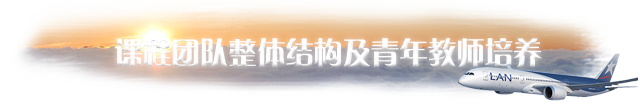 2.2 课程团队整体结构及青年教师培养.png