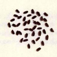 pagenumber_ebook=37,pagenumber_book=0